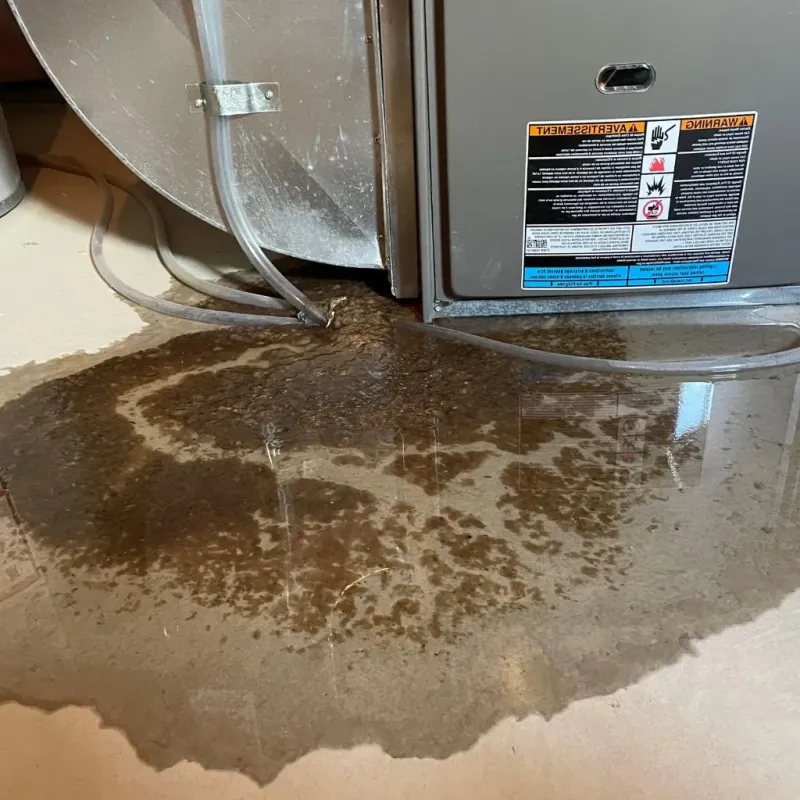 Pipe Burst and Leak Restoration in Mount Vernon, NY